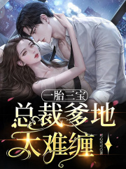 一胎三宝:总裁爹地太难缠