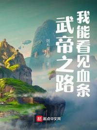 武帝之路:我能看见血条