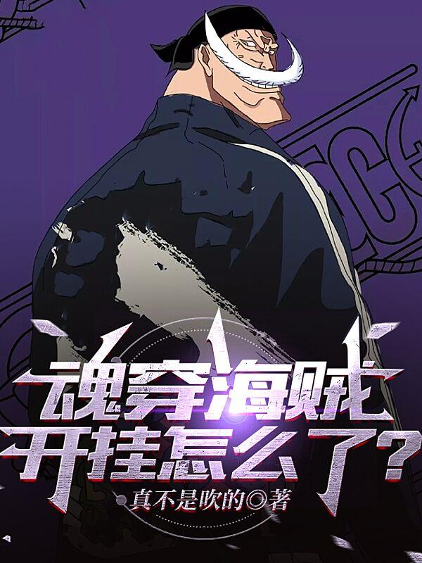 魂穿海贼,开挂怎么了?