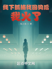 神探:从抓捕找回狗开始