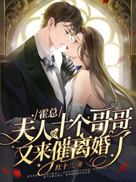 霍总,夫人的十个哥哥又来催离婚了