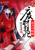 废材狂妃:逆天召唤师