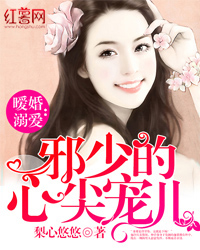 暖婚溺爱:邪少的心尖宠儿