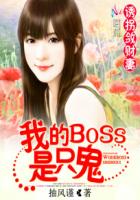 诱拐敛财妻:我的BOSS是只鬼