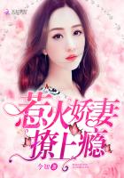 惹火娇妻,撩上瘾!