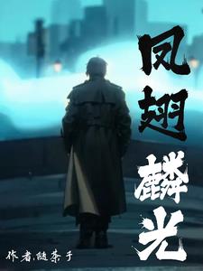 铠甲:凤翅麟光