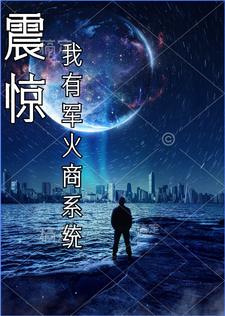 震惊!我有军火商系统
