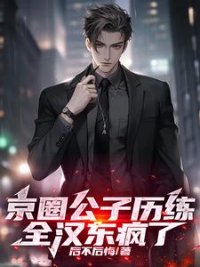 京圈公子历练,全汉东疯了