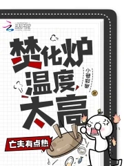 焚化炉温度太高,前夫有点热