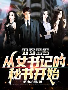 仕途巅峰:从女书记的秘书开始