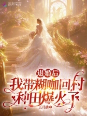 退婚后,我带糊咖回村种田爆火了