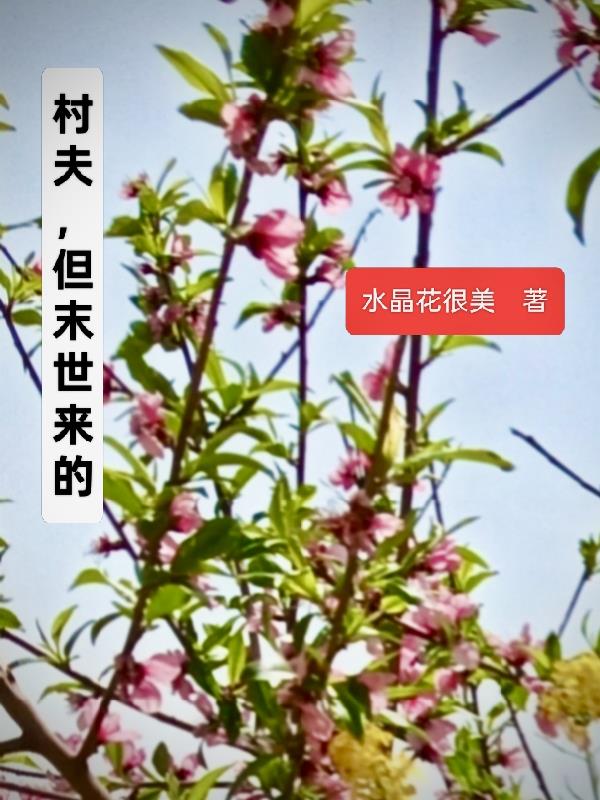 村夫,但末世来的