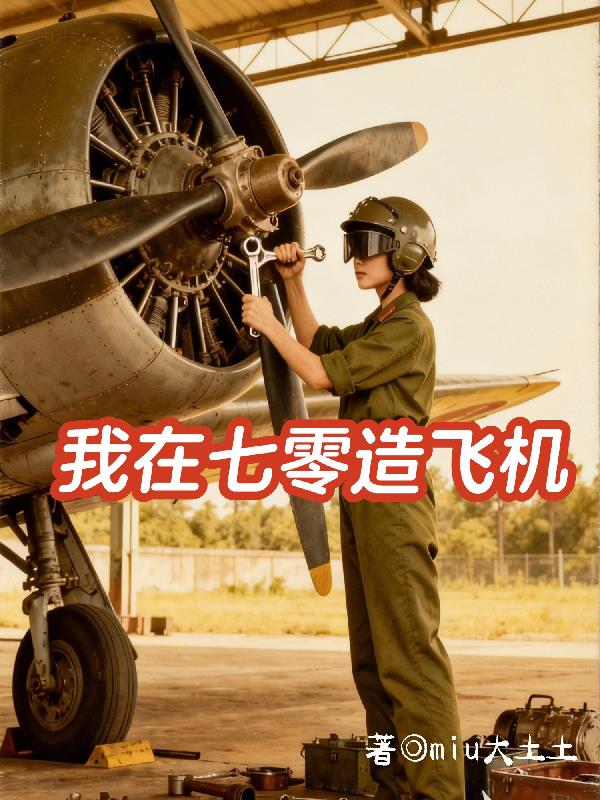我在七零造飞机