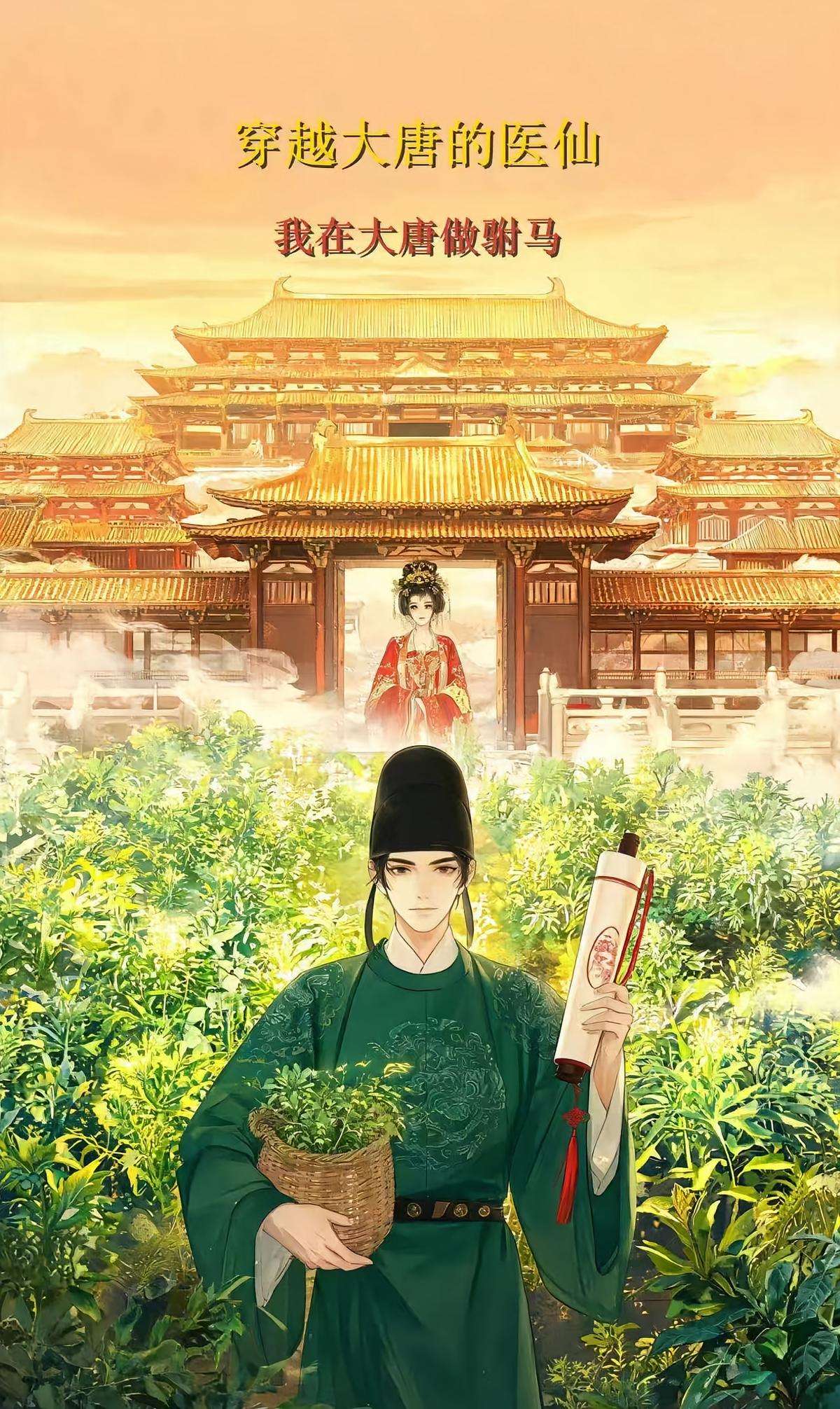 穿越大唐的医仙,我在贞观做驸马