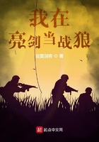 我在亮剑当战狼