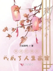 穿进红楼后,我成了人生赢家