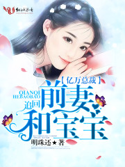 亿万总裁,追回前妻和宝宝